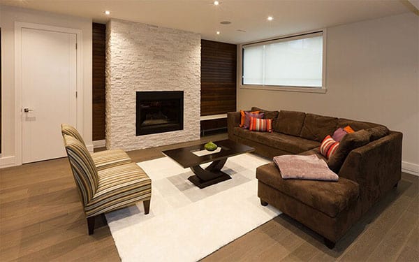 Brown Basement Living Room